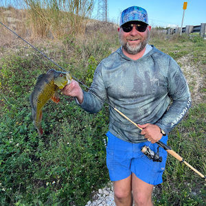 Meet your Posher, Wesley